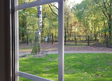 Waldhaus aus Holz mit Sauna auf der Veluwe - 5