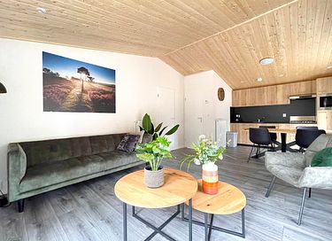 Ferienhaus in den Wäldern der Veluwe - 7