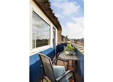 Dune plate (chien admis) - 14