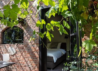 Luxury B&B in 100 year old grapevine - 28