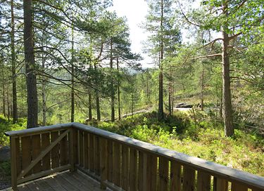 Natuurhuisje in een mooie omgeving - 5