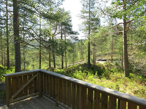 Natuurhuisje in een mooie omgeving - 5