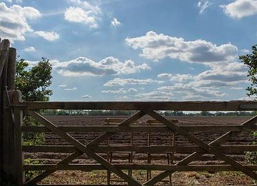 Knusse B&B in Drenthe met zwembad  - 17