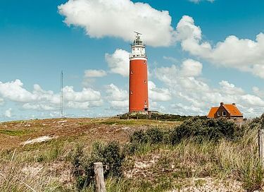 Ferienwohnung inmitten von Wäldern auf Texel - 22