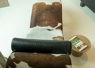 Luxuriöse Suite mit eigener Sauna in Haspengau - 11