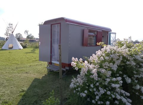 Pipowagen met comfort van een huisje - 5