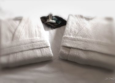 Wellnessbungalow met jacuzzi en 2 sauna's - 11