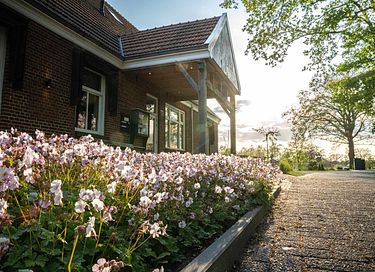 Cozy cottage with sauna and enclosed garden - 18