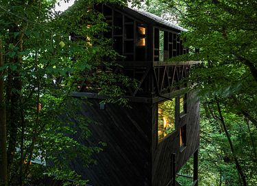 Baumhaus mit Sauna inmitten der Natur - 18