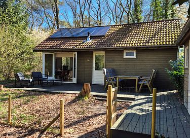 Maison dans la forêt avec sauna à Vechtdal - 14