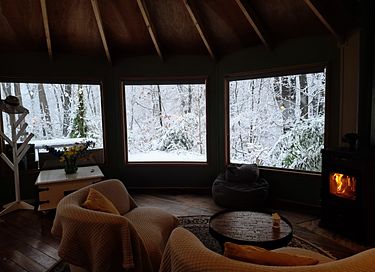 Cabane en bois dans la forêt - 6