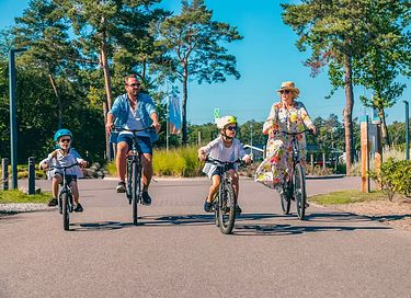 Familiehytte med børneværelse - 20