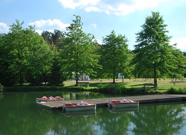 Tente safari (6p) près d'un lac dans le Limbourg - 27
