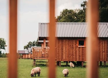 Gruppenunterkunft (16 Personen) in Drenthe - 4