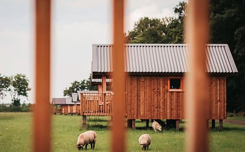 Gruppenunterkunft (16 Personen) in Drenthe - 4