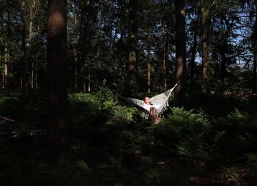 Meditatie en Yoga glamping in het bos - 9