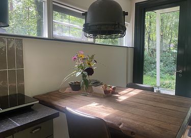 Luxe boshuis met houtkachel en veel privacy - 9