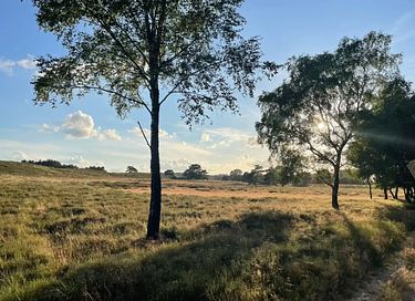 Villa op de Veluwe met zwembad en wellness - 53