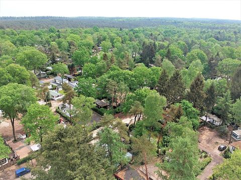 Cozy holiday home on wooded holiday park - 2