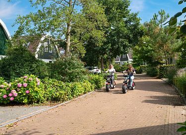 6-persooons cottage bij Schoorl - 24
