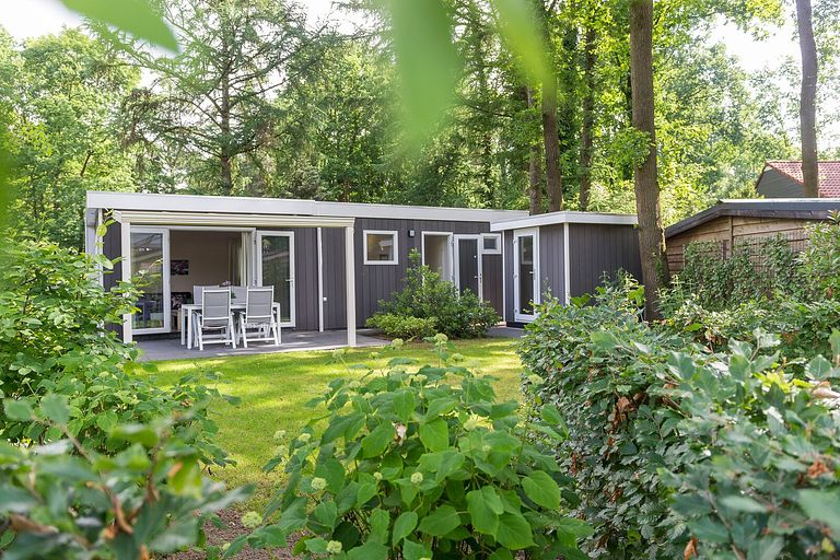 Luxury lodge in the Veluwe with hot tub or sauna - 1