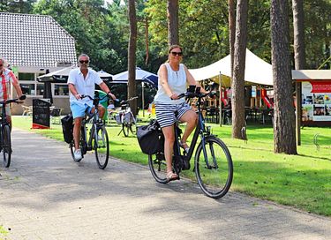 Cabane de randonneur pour 4 personnes en Campine belge - 9