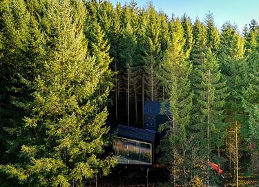 Special overnight stay among the trees - 4