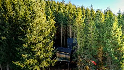 Special overnight stay among the trees - 4