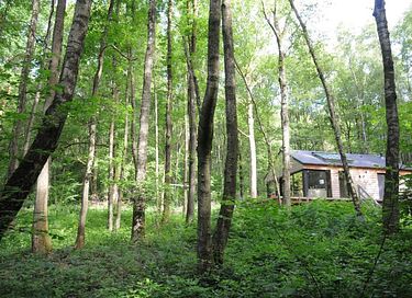 Houten boshuisje in de Ardennen (4p) - 22