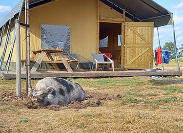 Vakantie op een speelboerderij in Limburg - 2