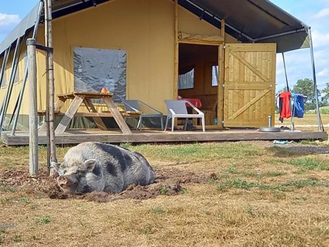 Vakantie op een speelboerderij in Limburg - 2