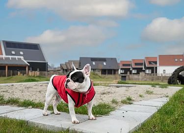 Luxe vakantiehuis met verwarmd binnenzwembad - 19