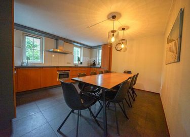 Luxe vakantievilla op de Veluwe - 5