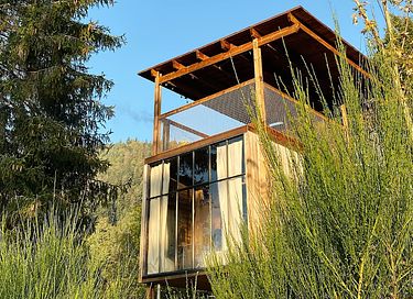 Luxe boomhut met dakterras en wellness - 24