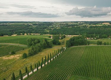 Tiny house dans les vignes en Dordogne - 23
