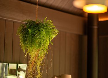 Luxury cabin with private sauna in the Ardennes - 20