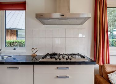 Hondvriendelijk vakantiehuis Drenthe - 25