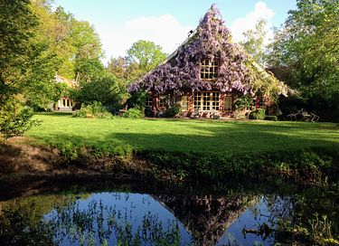 Prachtig natuurhuisje als in een sprookje - 39