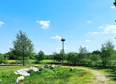 Logement de vacances rustique et insolite en Gelderland - 22