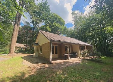 Forest cabin in the Veluwe on park with pool - 18