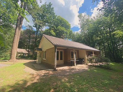 Casetta nel bosco sulla Veluwe in un villaggio turistico con piscina - 2