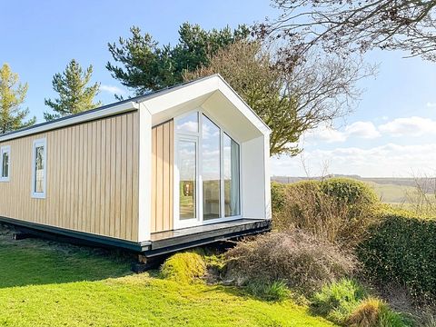 Comfortabel chalet nabij strand Ameland - 3