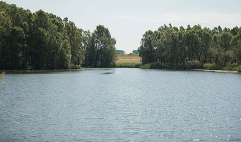 Unieke paardentram op een prachtige locatie - 4