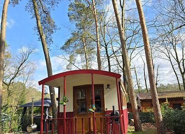 Cute shepherds hut with private hot tub in nature - 5