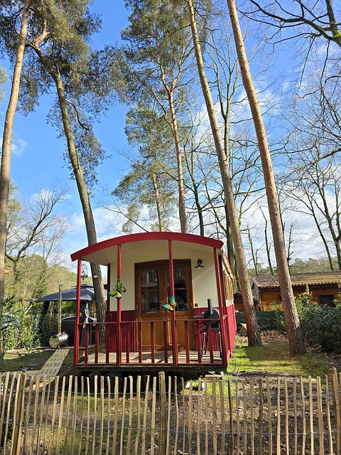 Cute shepherds hut with private hot tub in nature - 5