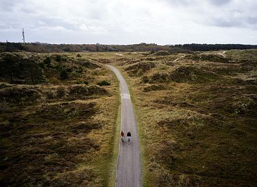 Studio acceptant les chiens (2 personnes) à Terschelling - 34