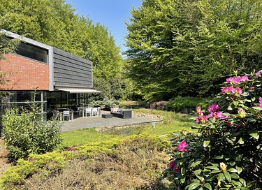 Moderne Waldvilla mit Jacuzzi und großem Garten - 3