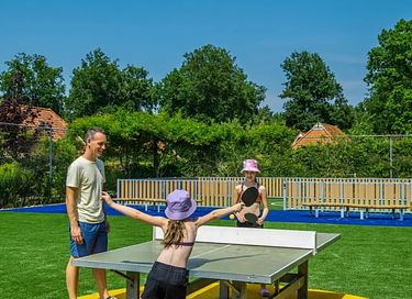 Knus huisje voor 4 personen op groen park - 18