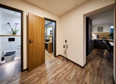 Luxury vacation home in Radvanice - 8
