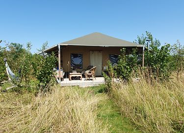 Glamping met privé hottub - 8
